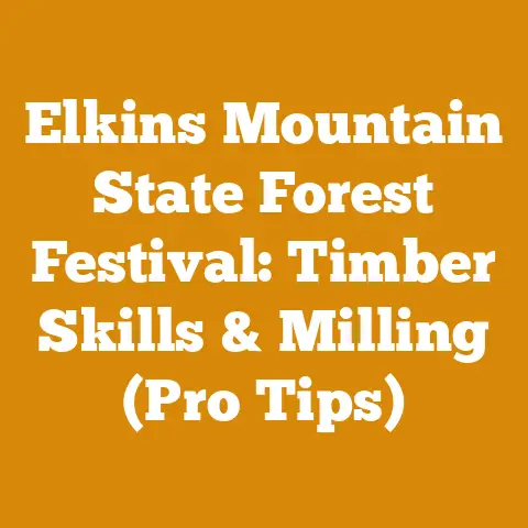 Elkins Mountain State Forest Festival: Timber Skills & Milling (Pro Tips)