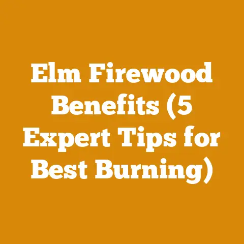 Elm Firewood Benefits (5 Expert Tips for Best Burning)