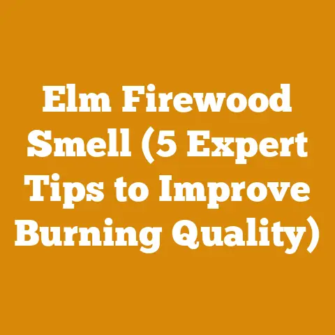 Elm Firewood Smell (5 Expert Tips to Improve Burning Quality)