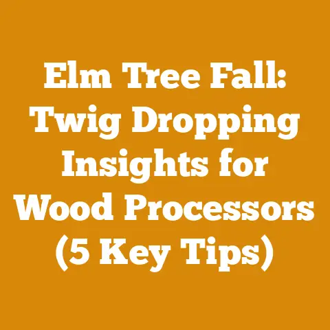 Elm Tree Fall: Twig Dropping Insights for Wood Processors (5 Key Tips)