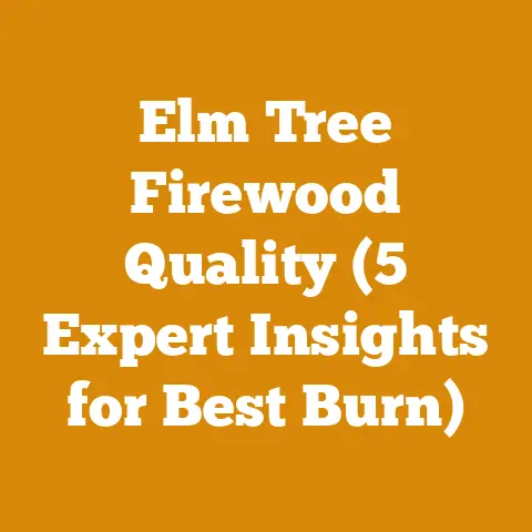 Elm Tree Firewood Quality (5 Expert Insights for Best Burn)