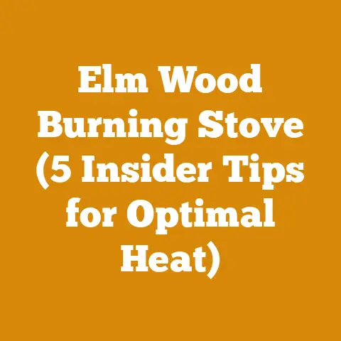 Elm Wood Burning Stove (5 Insider Tips for Optimal Heat)