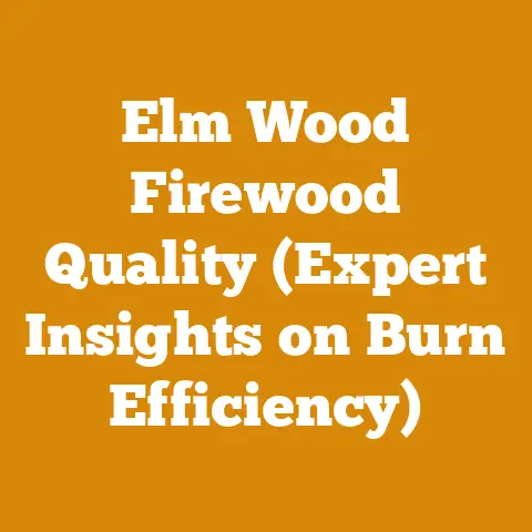 Elm Wood Firewood Quality (Expert Insights on Burn Efficiency)