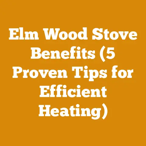 Elm Wood Stove Benefits (5 Proven Tips for Efficient Heating)