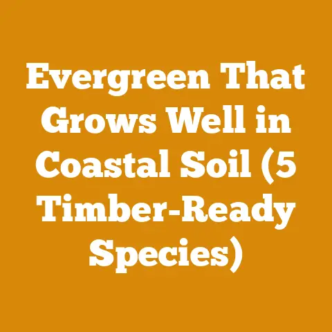 Evergreen That Grows Well in Coastal Soil (5 Timber-Ready Species)