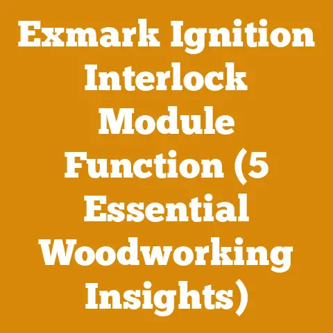 Exmark Ignition Interlock Module Function (5 Essential Woodworking Insights)