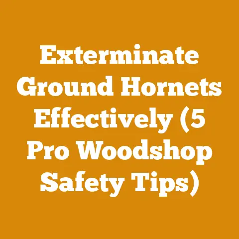 Exterminate Ground Hornets Effectively (5 Pro Woodshop Safety Tips)