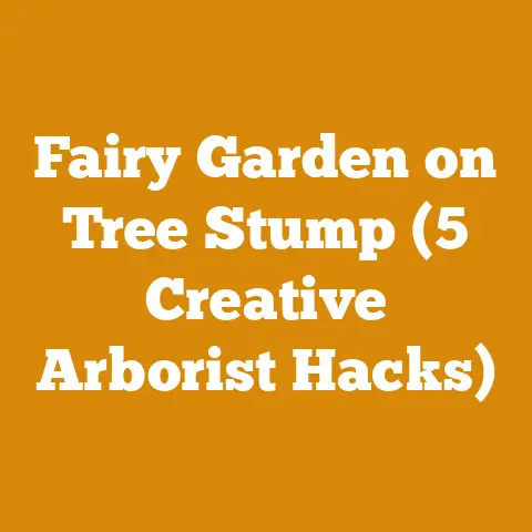 Fairy Garden on Tree Stump (5 Creative Arborist Hacks)
