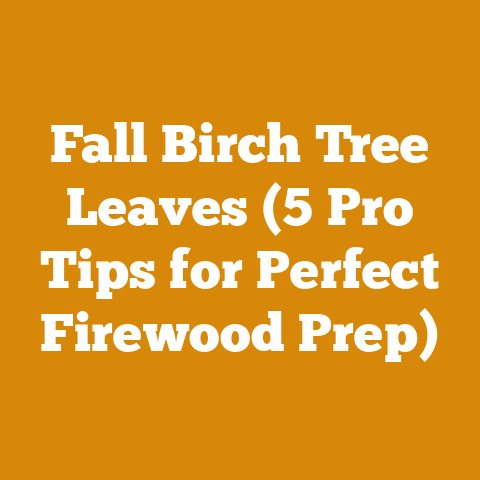 Fall Birch Tree Leaves (5 Pro Tips for Perfect Firewood Prep)