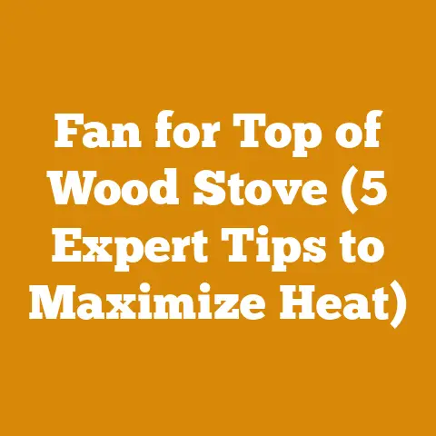 Fan for Top of Wood Stove (5 Expert Tips to Maximize Heat)