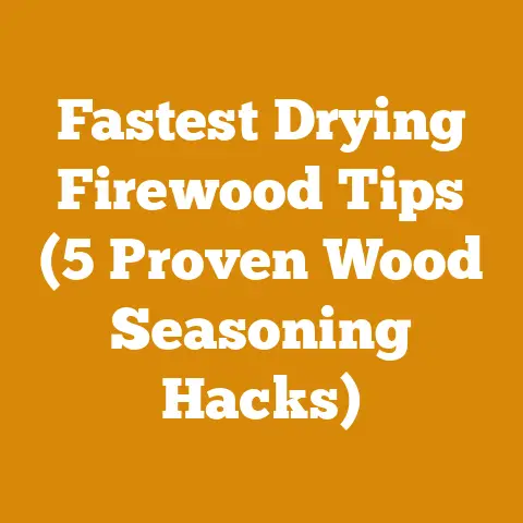 Fastest Drying Firewood Tips (5 Proven Wood Seasoning Hacks)