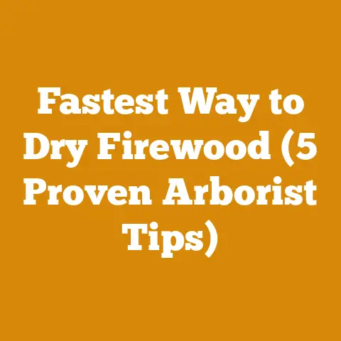 Fastest Way to Dry Firewood (5 Proven Arborist Tips)