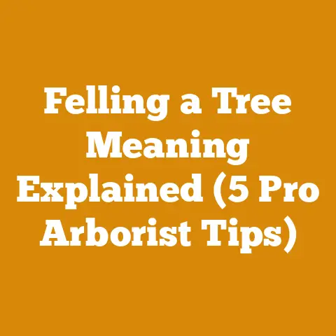 Felling a Tree Meaning Explained (5 Pro Arborist Tips)