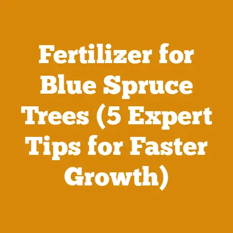 Fertilizer for Blue Spruce Trees (5 Expert Tips for Faster Growth)