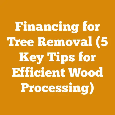 Financing for Tree Removal (5 Key Tips for Efficient Wood Processing)