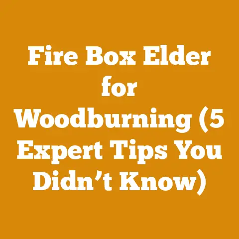 Fire Box Elder for Woodburning (5 Expert Tips You Didn’t Know)