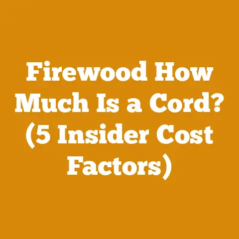 Firewood How Much Is a Cord? (5 Insider Cost Factors)