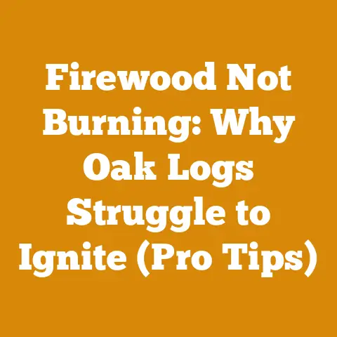 Firewood Not Burning: Why Oak Logs Struggle to Ignite (Pro Tips)
