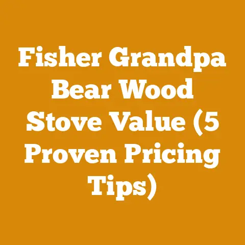 Fisher Grandpa Bear Wood Stove Value (5 Proven Pricing Tips)
