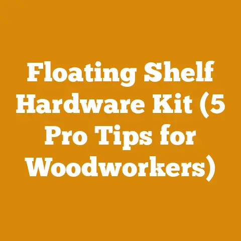 Floating Shelf Hardware Kit (5 Pro Tips for Woodworkers)