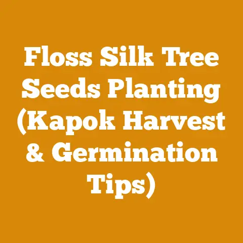 Floss Silk Tree Seeds Planting (Kapok Harvest & Germination Tips)
