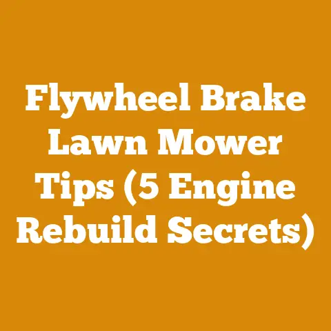 Flywheel Brake Lawn Mower Tips (5 Engine Rebuild Secrets)