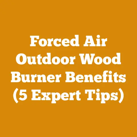 Forced Air Outdoor Wood Burner Benefits (5 Expert Tips)