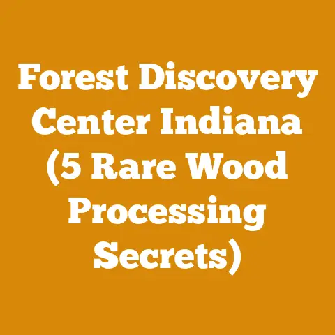 Forest Discovery Center Indiana (5 Rare Wood Processing Secrets)