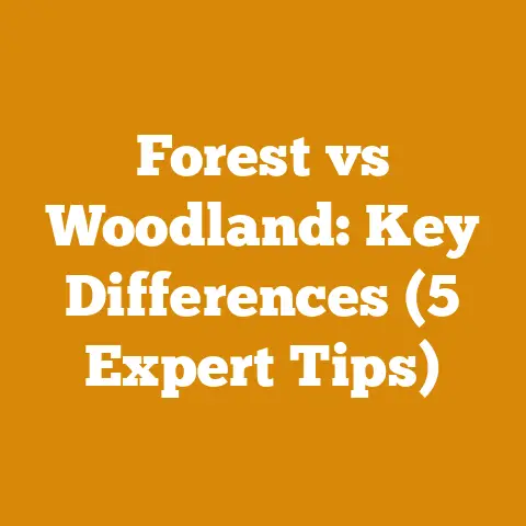 Forest vs Woodland: Key Differences (5 Expert Tips)