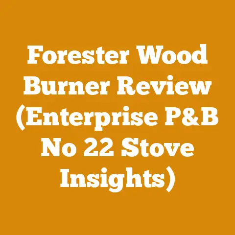 Forester Wood Burner Review (Enterprise P&B No 22 Stove Insights)