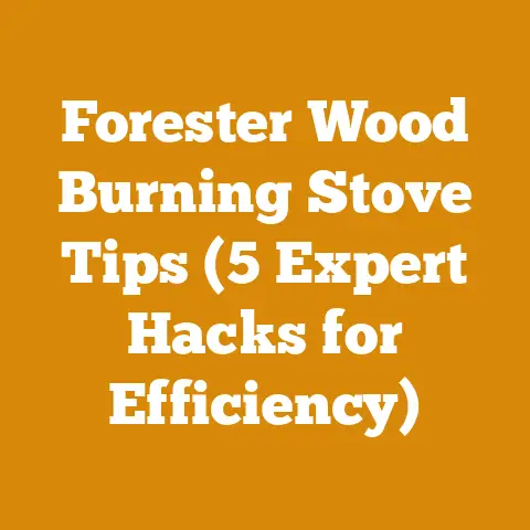 Forester Wood Burning Stove Tips (5 Expert Hacks for Efficiency)
