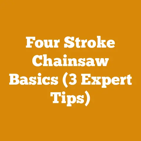 Four Stroke Chainsaw Basics (3 Expert Tips)