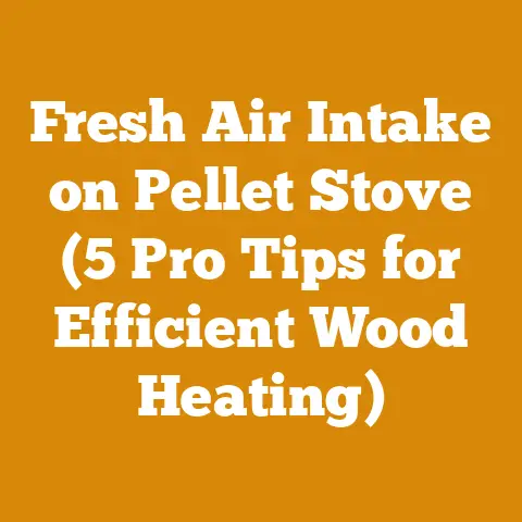 Fresh Air Intake on Pellet Stove (5 Pro Tips for Efficient Wood Heating)