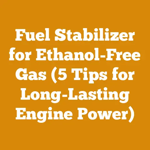 Fuel Stabilizer for Ethanol-Free Gas (5 Tips for Long-Lasting Engine Power)