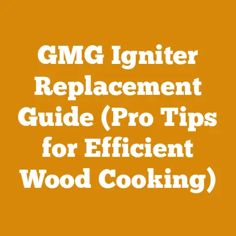 GMG Igniter Replacement Guide (Pro Tips for Efficient Wood Cooking)
