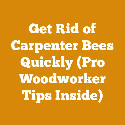 Get Rid of Carpenter Bees Quickly (Pro Woodworker Tips Inside)