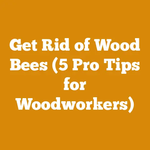 Get Rid of Wood Bees (5 Pro Tips for Woodworkers)