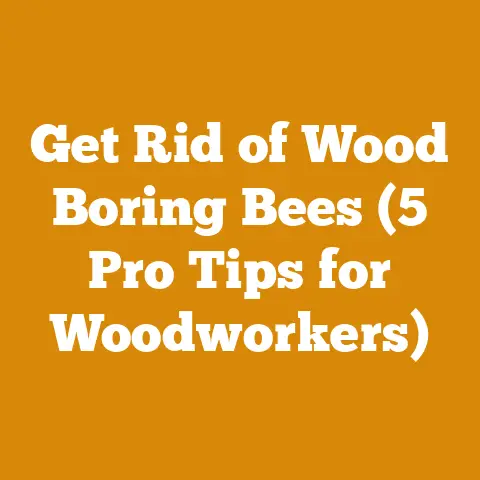 Get Rid of Wood Boring Bees (5 Pro Tips for Woodworkers)