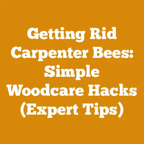 Getting Rid Carpenter Bees: Simple Woodcare Hacks (Expert Tips)
