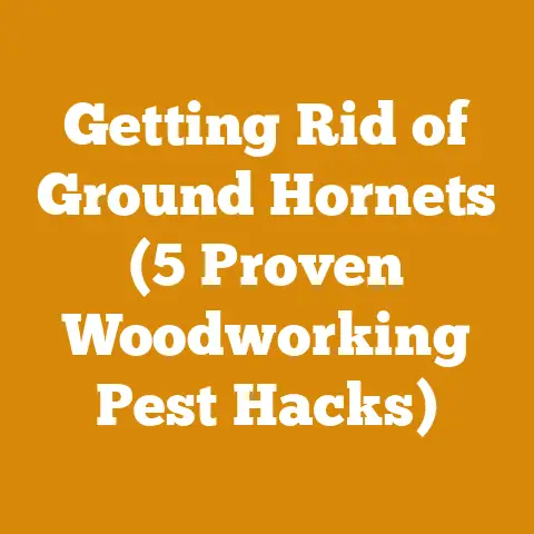 Getting Rid of Ground Hornets (5 Proven Woodworking Pest Hacks)