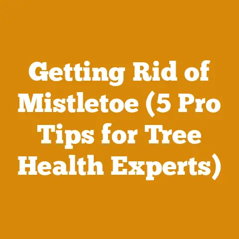 Getting Rid of Mistletoe (5 Pro Tips for Tree Health Experts)