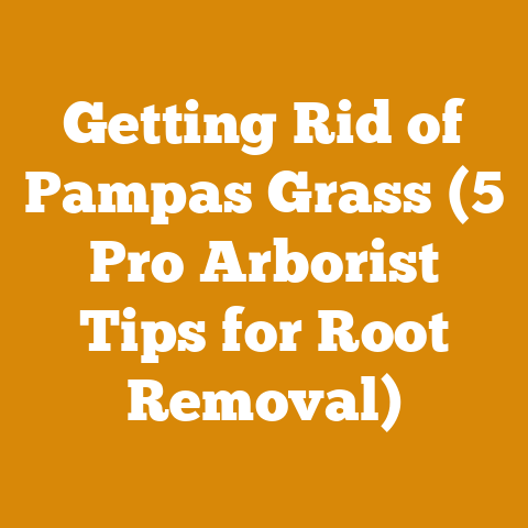 Getting Rid of Pampas Grass (5 Pro Arborist Tips for Root Removal)