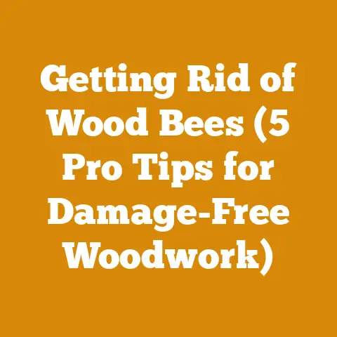 Getting Rid of Wood Bees (5 Pro Tips for Damage-Free Woodwork)