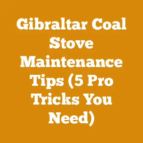 Gibraltar Coal Stove Maintenance Tips (5 Pro Tricks You Need)