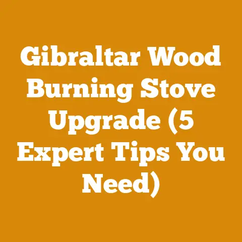 Gibraltar Wood Burning Stove Upgrade (5 Expert Tips You Need)