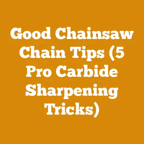 Good Chainsaw Chain Tips (5 Pro Carbide Sharpening Tricks)