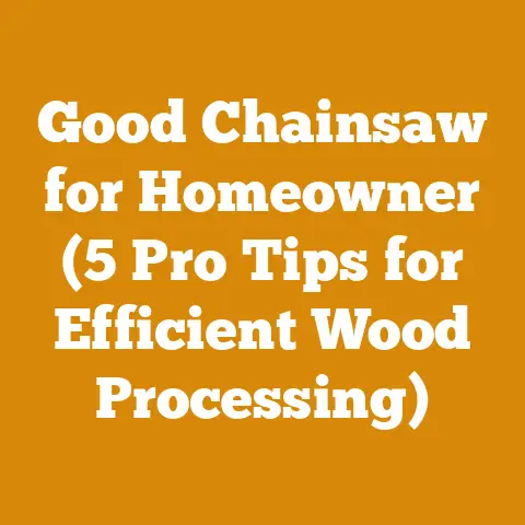 Good Chainsaw for Homeowner (5 Pro Tips for Efficient Wood Processing)