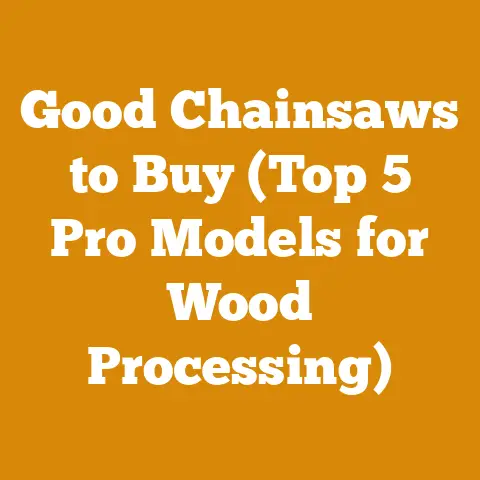 Good Chainsaws to Buy (Top 5 Pro Models for Wood Processing)