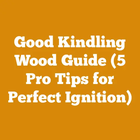 Good Kindling Wood Guide (5 Pro Tips for Perfect Ignition)