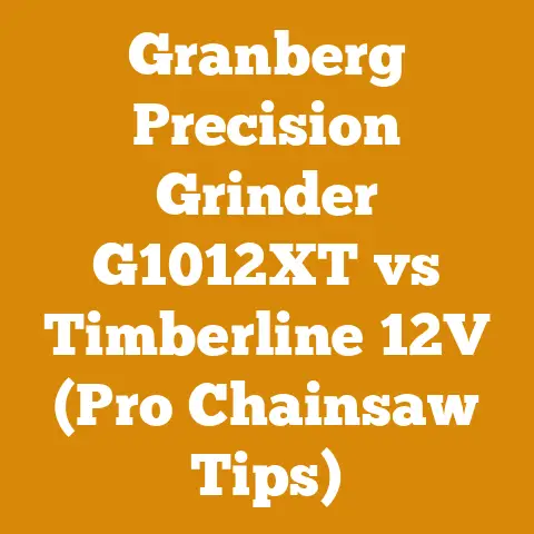 Granberg Precision Grinder G1012XT vs Timberline 12V (Pro Chainsaw Tips)